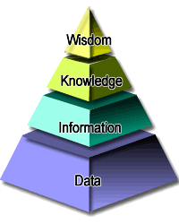 wisdom-pyramid